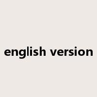 english version是什么意思