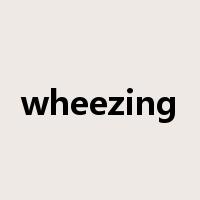 wheezing是什么意思