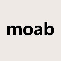 moab是什么意思