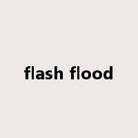 flash flood是什么意思