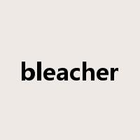 bleacher是什么意思