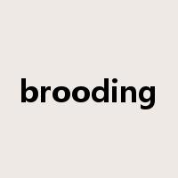 brooding是什么意思