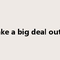 make a big deal out of是什么意思