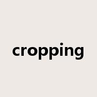cropping是什么意思