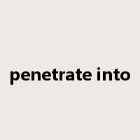 penetrate into是什么意思