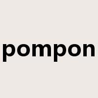 pompon是什么意思