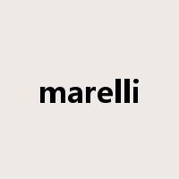 marelli是什么意思