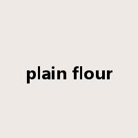 plain flour是什么意思