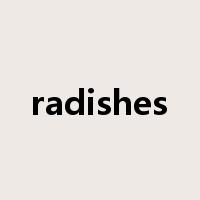 radishes是什么意思