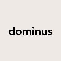dominus是什么意思