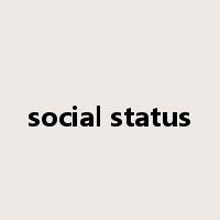 social status是什么意思