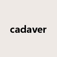 cadaver是什么意思