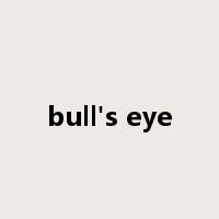 bull's eye是什么意思