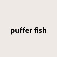 puffer fish是什么意思