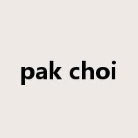pak choi是什么意思