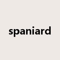 spaniard是什么意思
