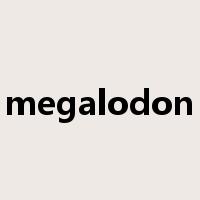 megalodon是什么意思