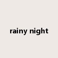 rainy night是什么意思
