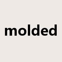 molded是什么意思