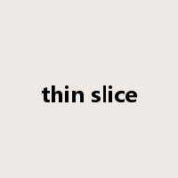 thin slice是什么意思