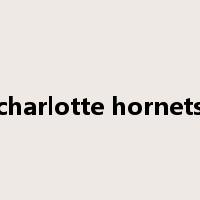 charlotte hornets是什么意思