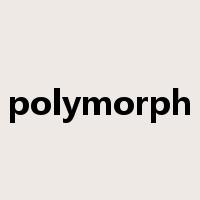 polymorph是什么意思