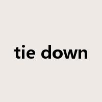 tie down是什么意思