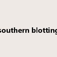 southern blotting是什么意思