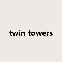 twin towers是什么意思