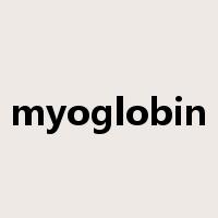 myoglobin是什么意思