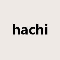 hachi是什么意思