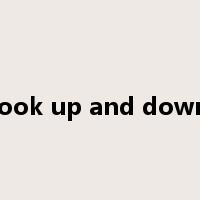 look up and down是什么意思