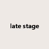 late stage是什么意思