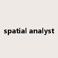 spatial analyst是什么意思