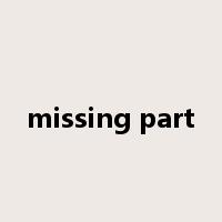 missing part是什么意思
