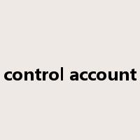 control account是什么意思