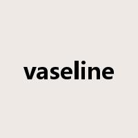 vaseline是什么意思