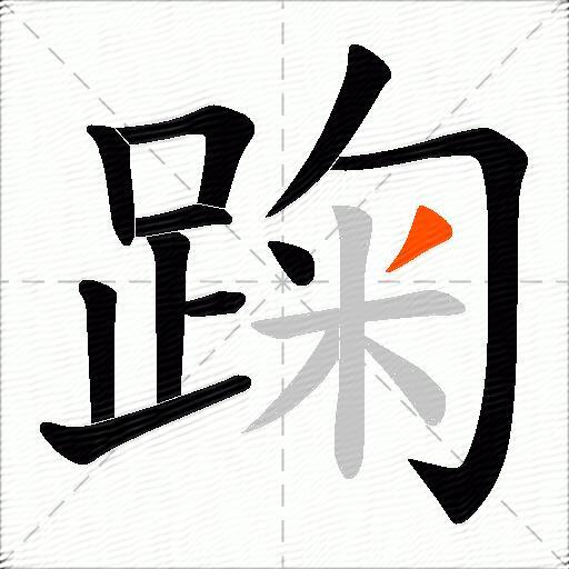 踘