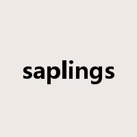 saplings是什么意思