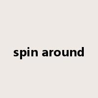 spin around是什么意思