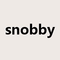snobby是什么意思