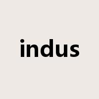 indus是什么意思