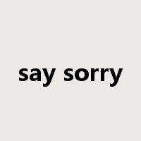 say sorry是什么意思