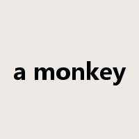 a monkey是什么意思