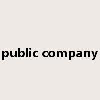 public company是什么意思