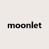 moonlet是什么意思