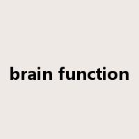 brain function是什么意思