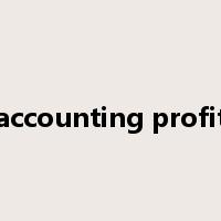 accounting profit是什么意思