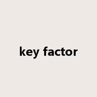 key factor是什么意思