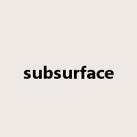 subsurface是什么意思